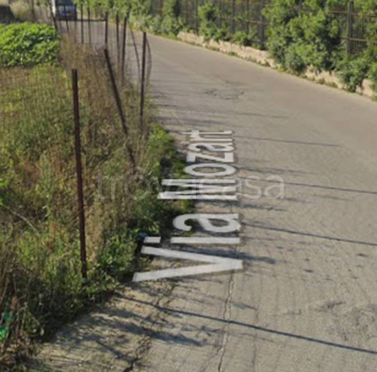 immagine annuncio 5 di 12