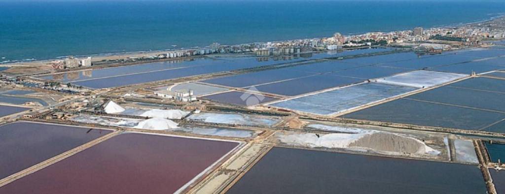 immagine annuncio 9 di 13