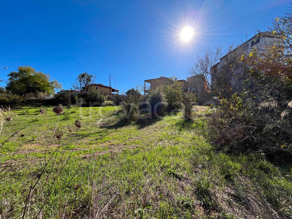 immagine annuncio 1 di 4