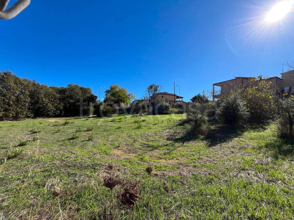 immagine annuncio 3 di 4