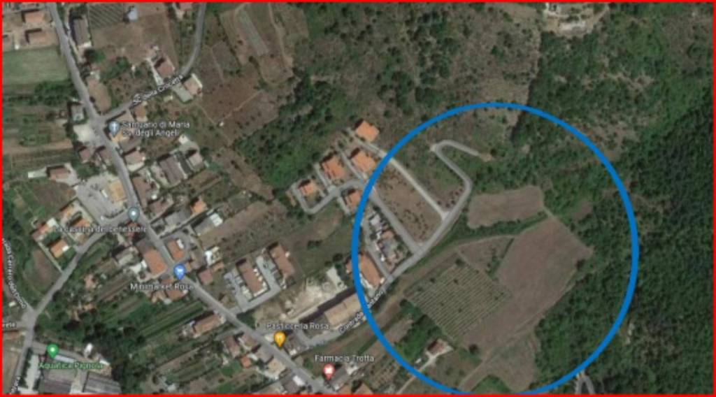 immagine annuncio 10 di 11