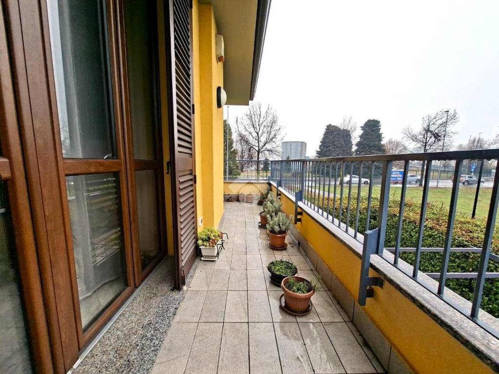 immagine annuncio 11 di 15