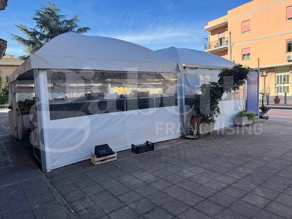 immagine annuncio 5 di 12