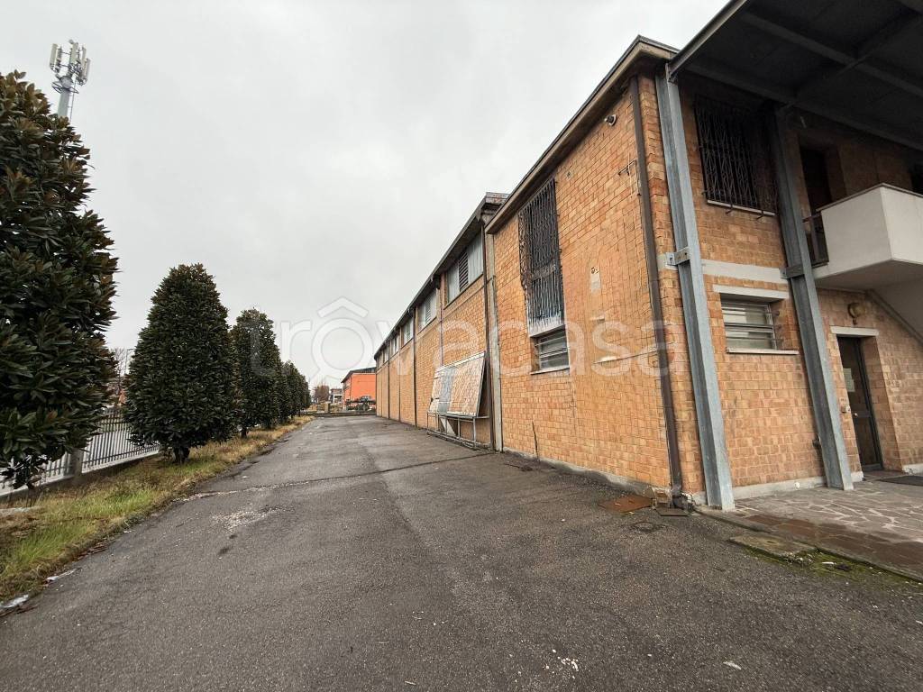 immagine annuncio 4 di 15