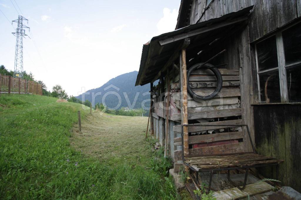 immagine annuncio 4 di 13