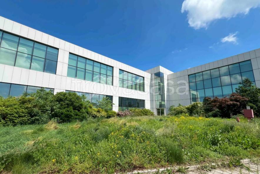 immagine annuncio 3 di 14