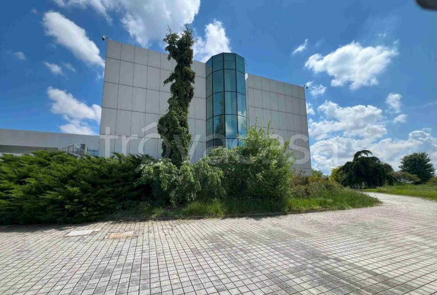 immagine annuncio 4 di 14