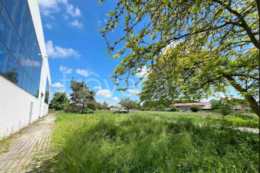 immagine annuncio 5 di 14