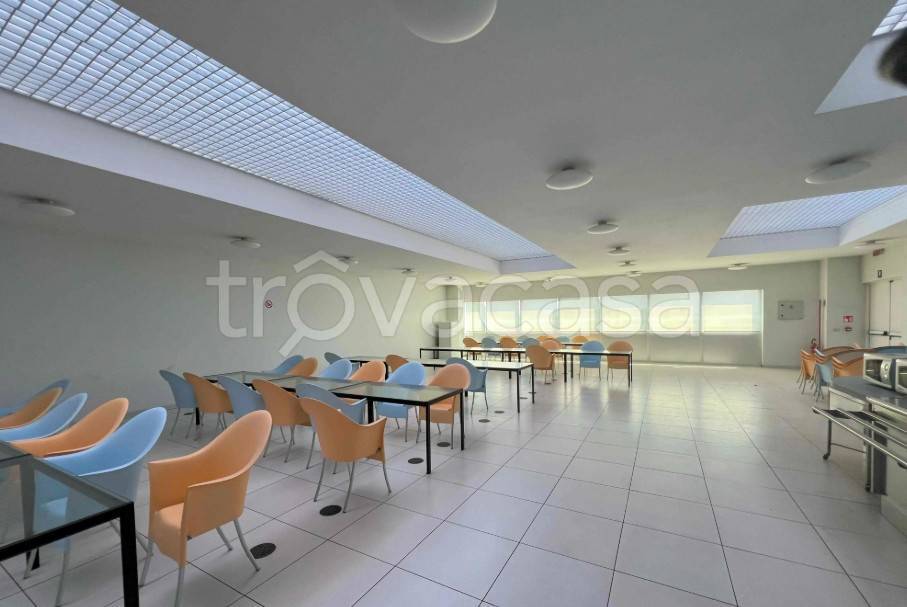 immagine annuncio 7 di 14