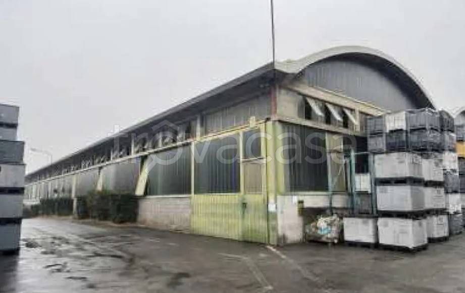 immagine annuncio 1 di 9