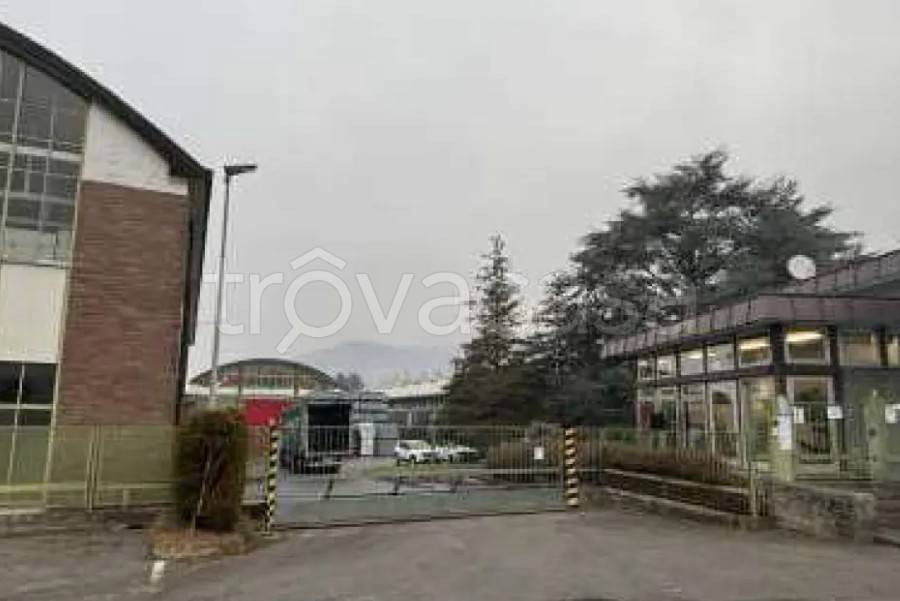 immagine annuncio 2 di 9