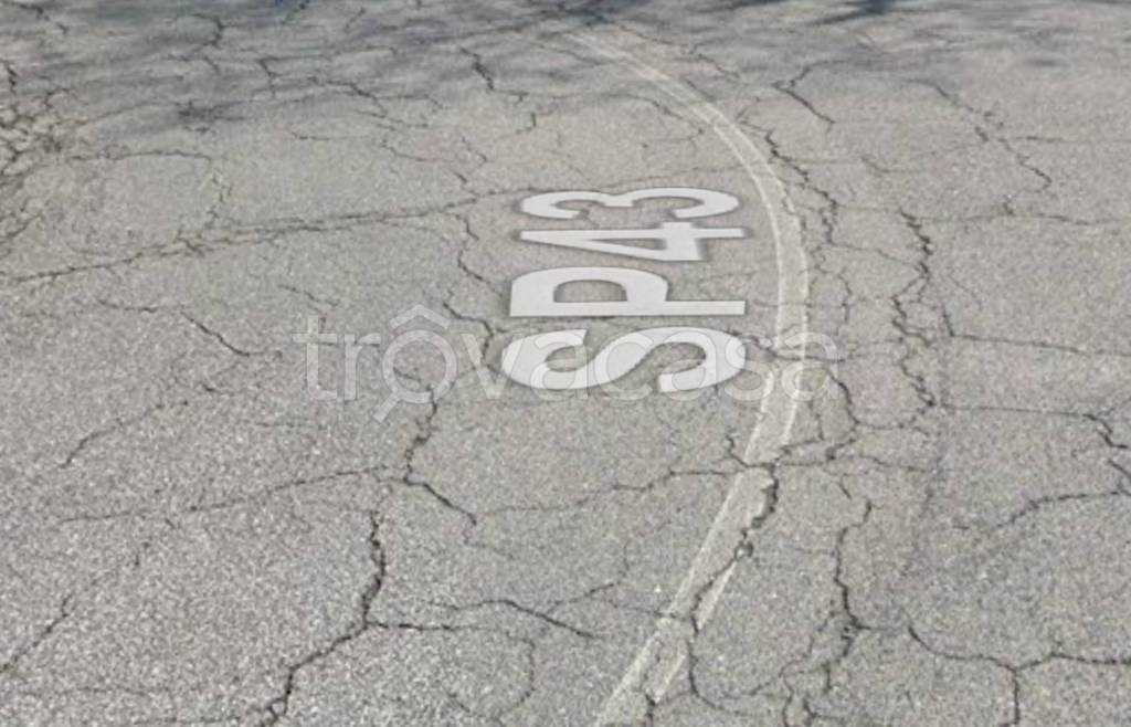 immagine annuncio 7 di 11