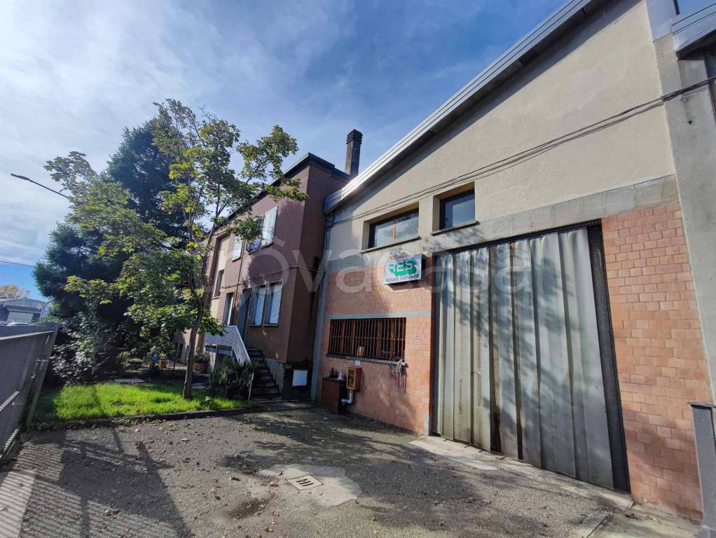 immagine annuncio 4 di 15