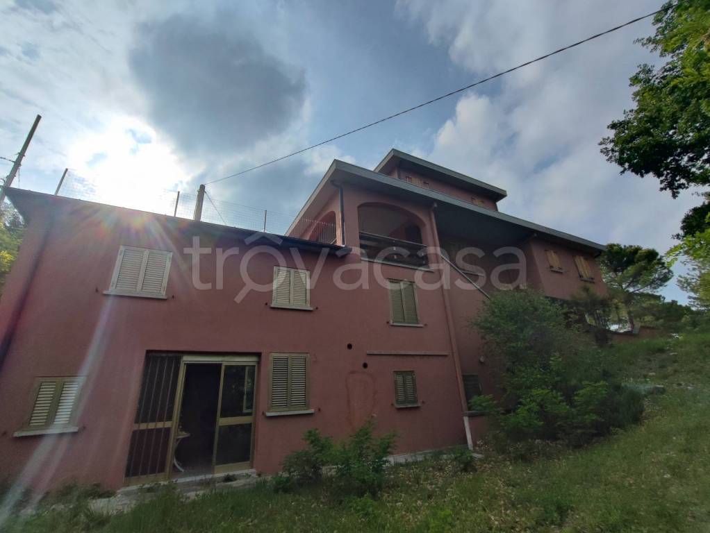 immagine annuncio 8 di 12