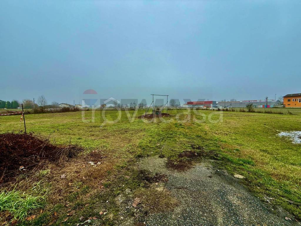 immagine annuncio 1 di 8