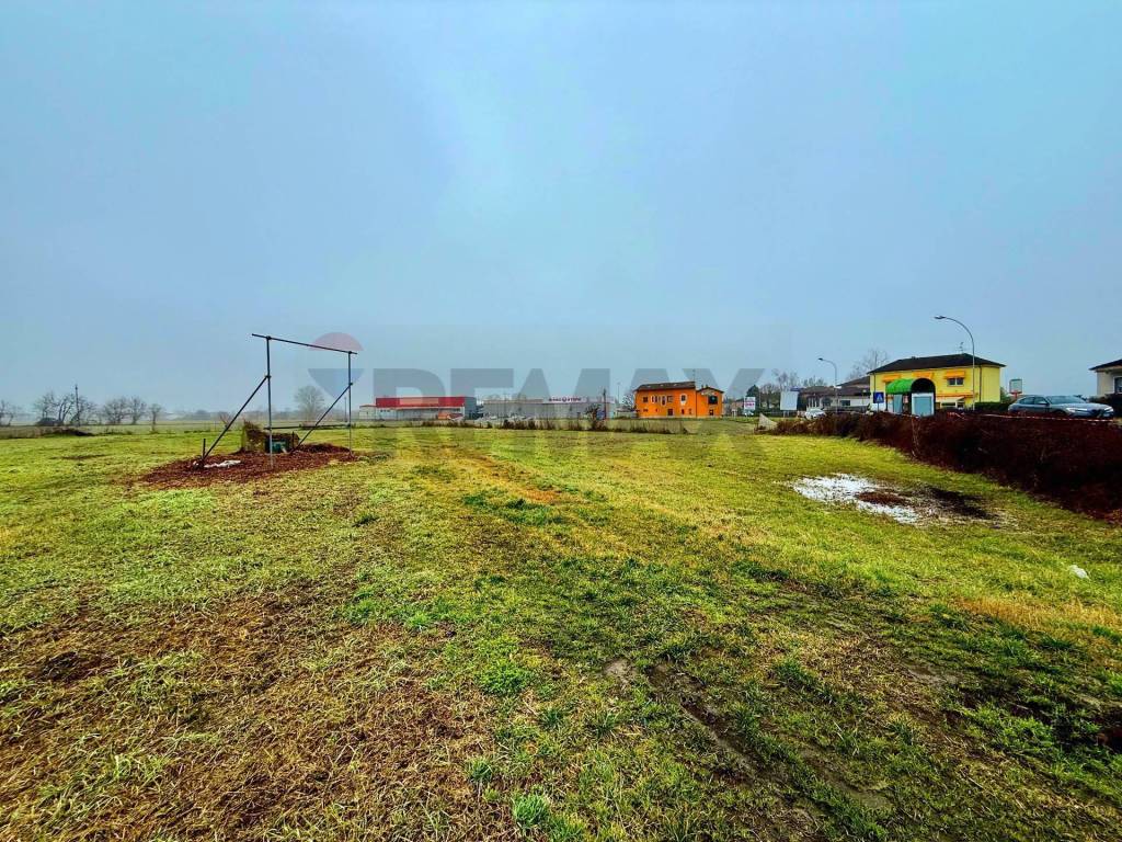 immagine annuncio 3 di 8