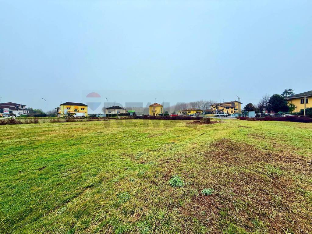 immagine annuncio 6 di 8