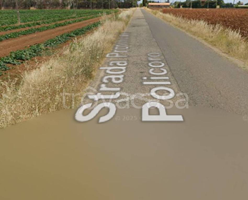 immagine annuncio 6 di 11