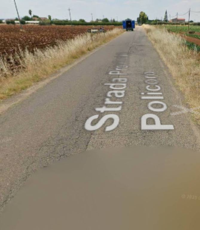 immagine annuncio 7 di 11