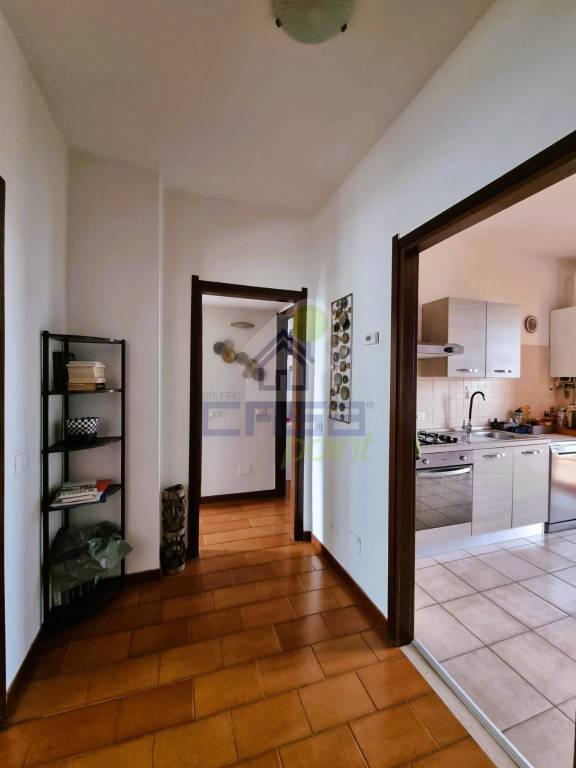 immagine annuncio 5 di 14