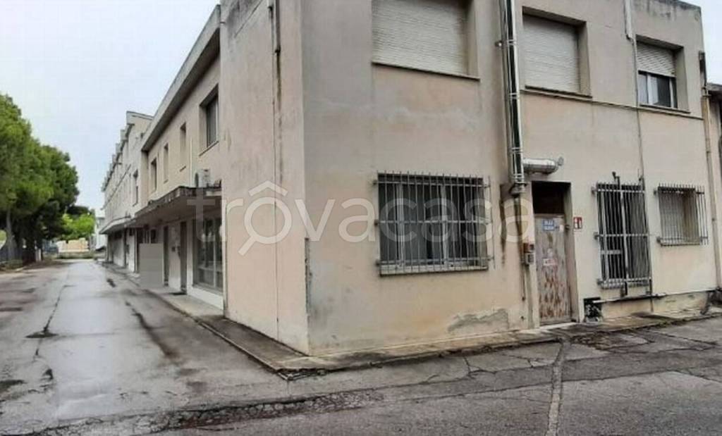 immagine annuncio 5 di 11