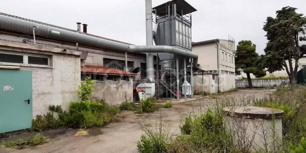 immagine annuncio 6 di 11