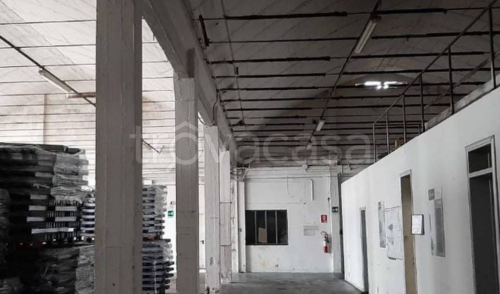 immagine annuncio 7 di 11