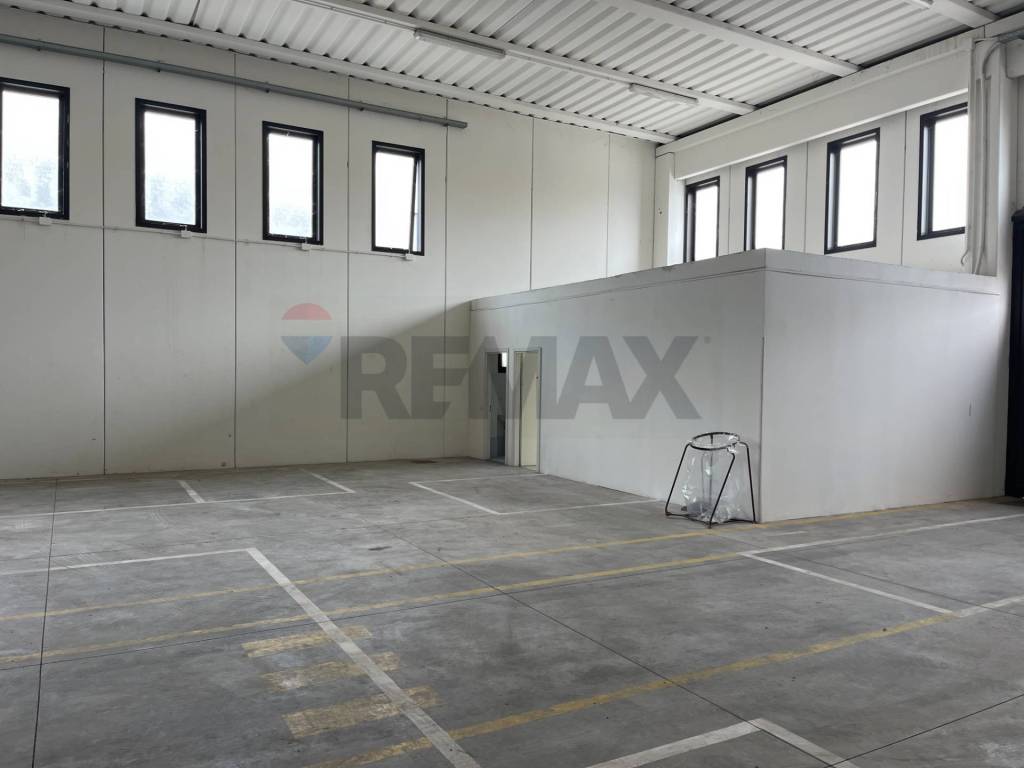 immagine annuncio 2 di 9