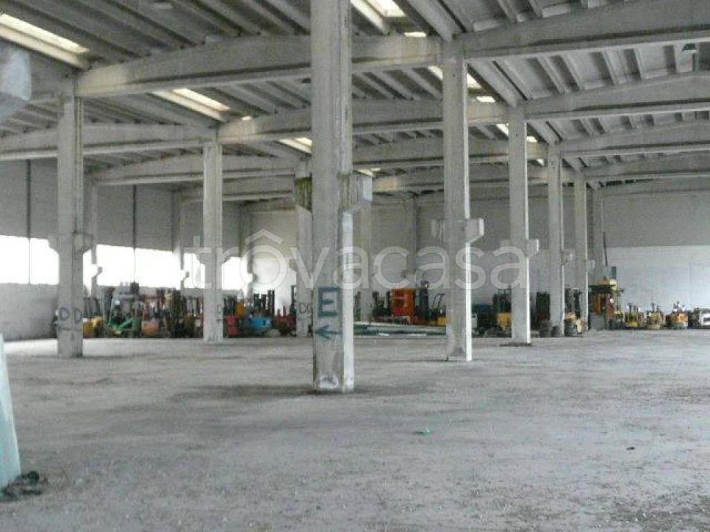 immagine annuncio 3 di 7