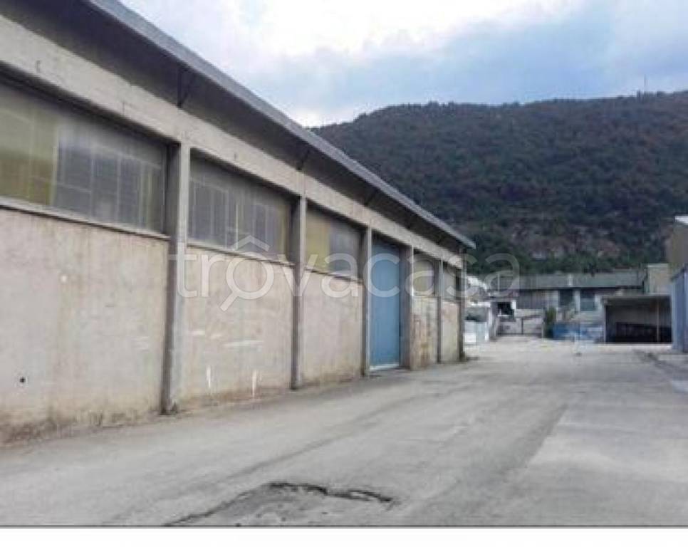 immagine annuncio 4 di 7