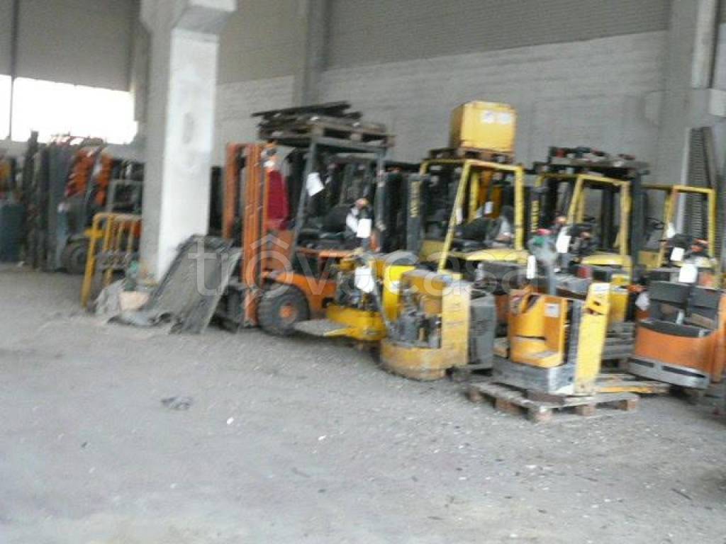 immagine annuncio 6 di 7