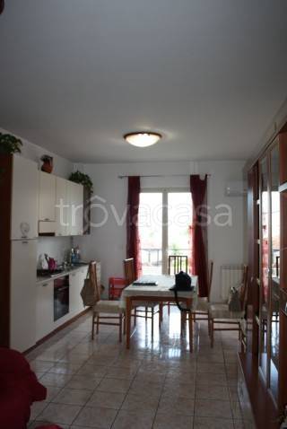 immagine annuncio 2 di 7