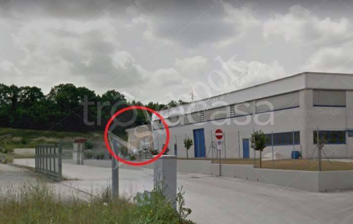 immagine annuncio 3 di 6