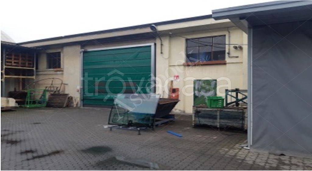 immagine annuncio 3 di 11