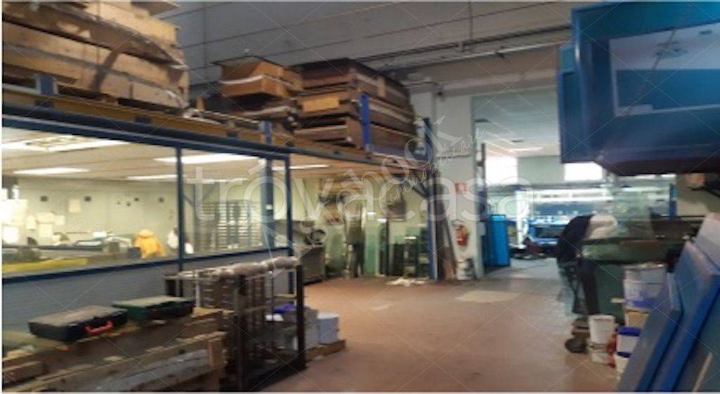 immagine annuncio 6 di 11