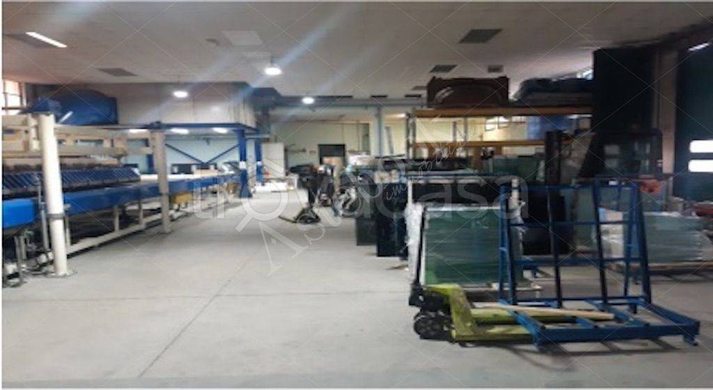 immagine annuncio 7 di 11