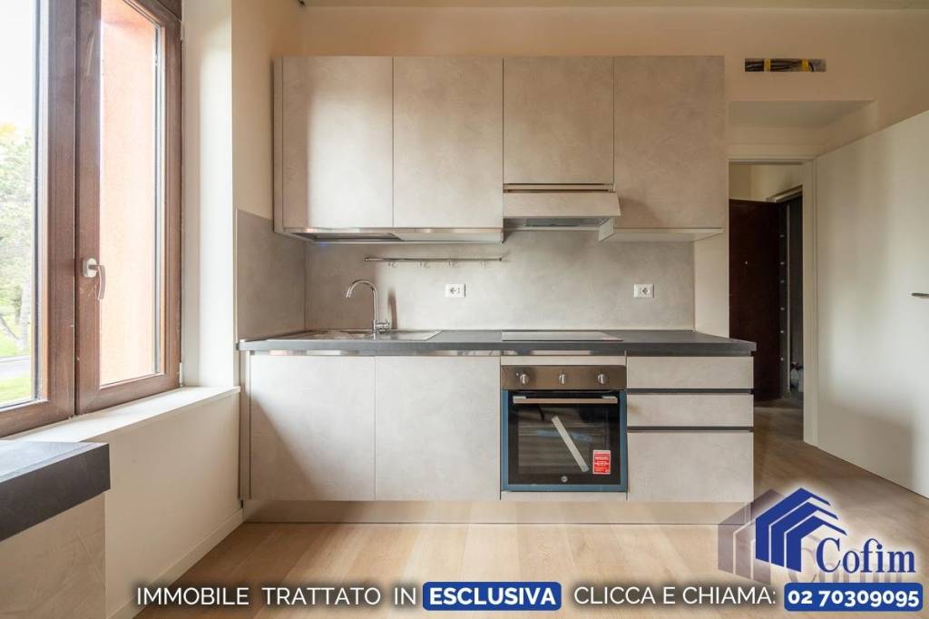 immagine annuncio 4 di 12