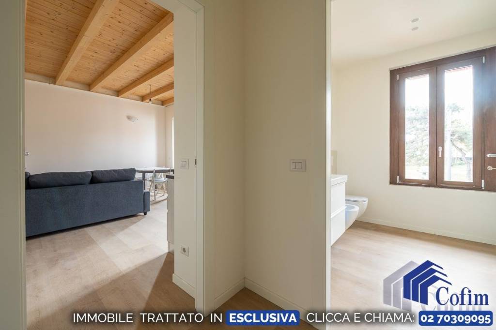 immagine annuncio 7 di 12