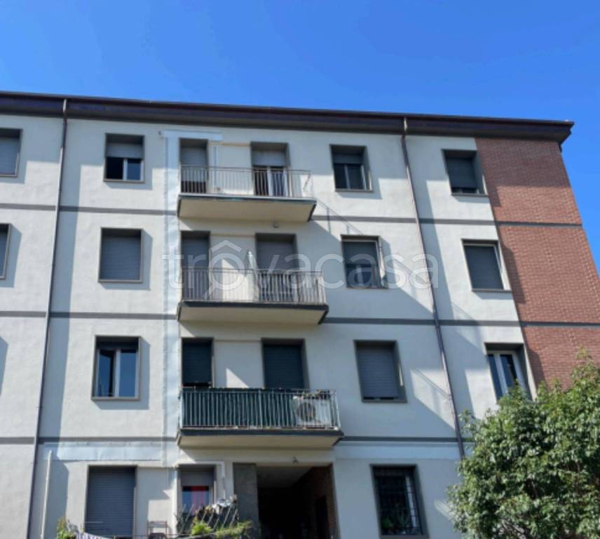 immagine annuncio 4 di 12