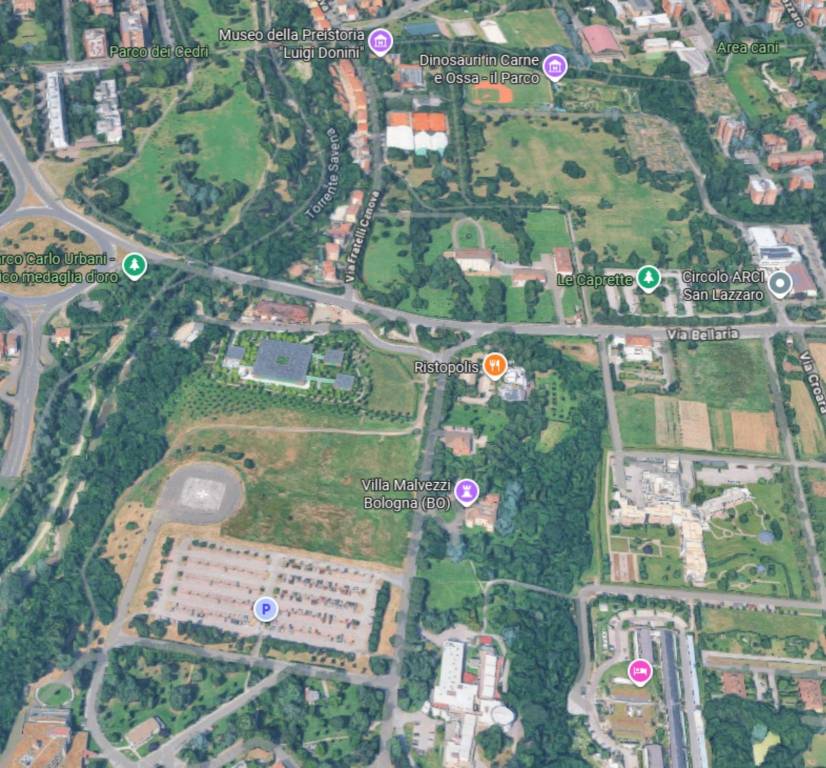 immagine annuncio 5 di 12