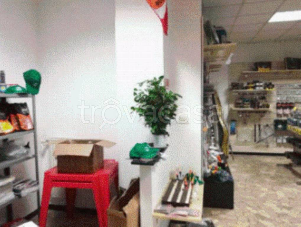 immagine annuncio 2 di 11