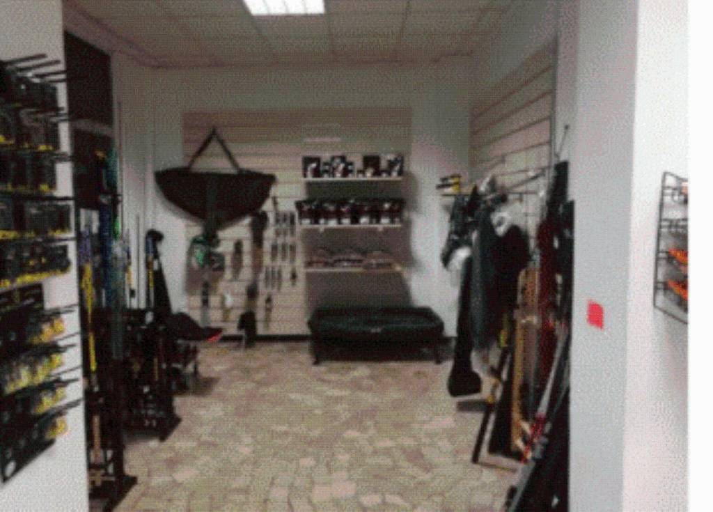 immagine annuncio 3 di 11