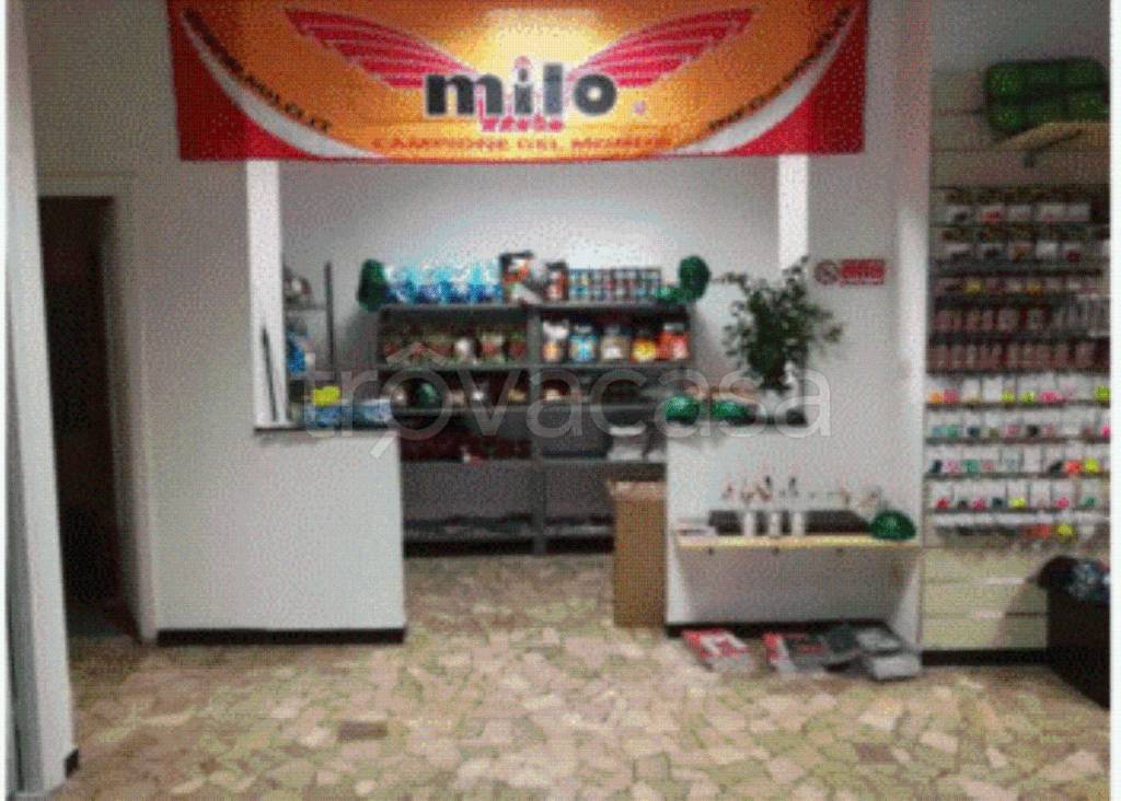 immagine annuncio 5 di 11