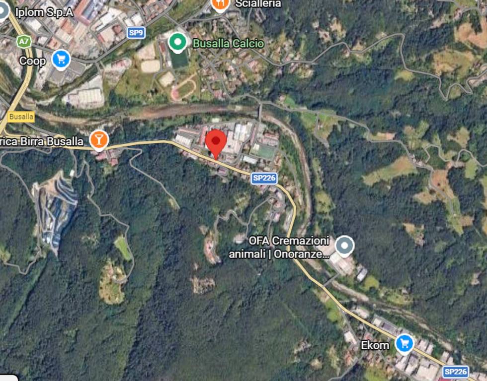 immagine annuncio 2 di 13