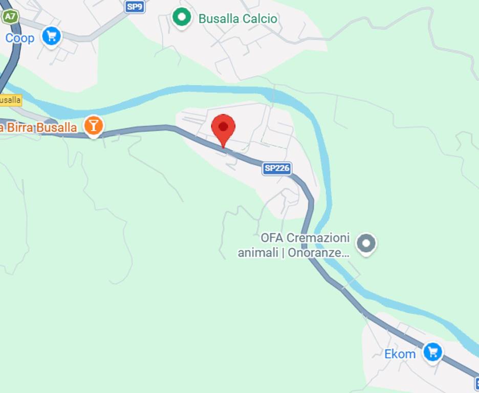 immagine annuncio 4 di 13