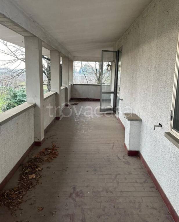 immagine annuncio 5 di 11