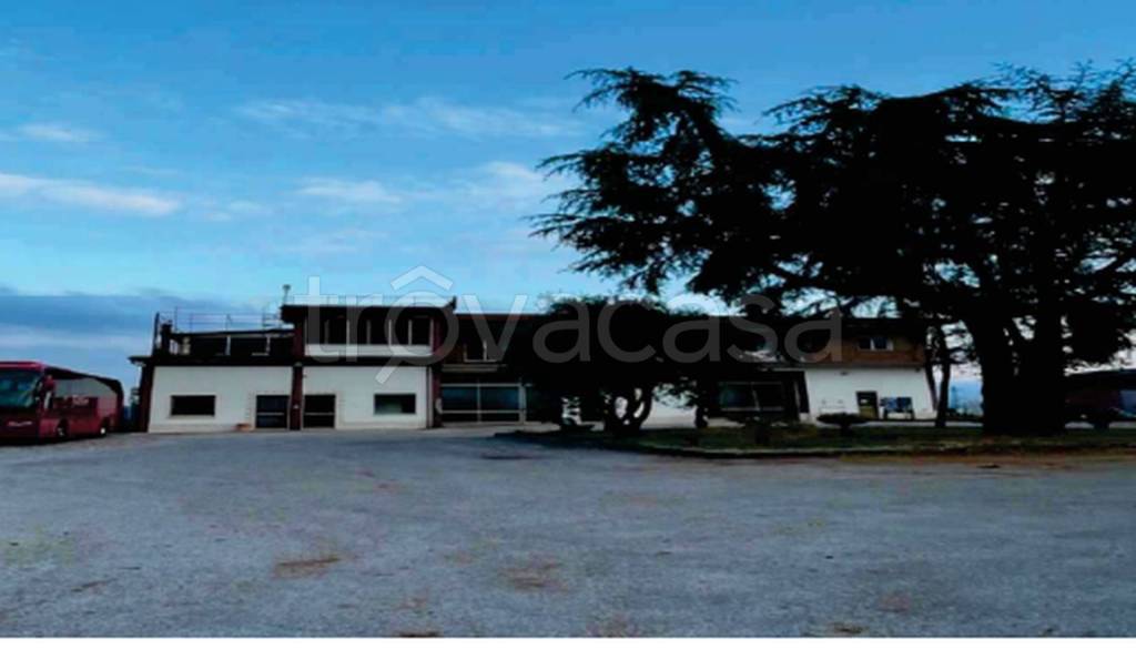 immagine annuncio 4 di 12