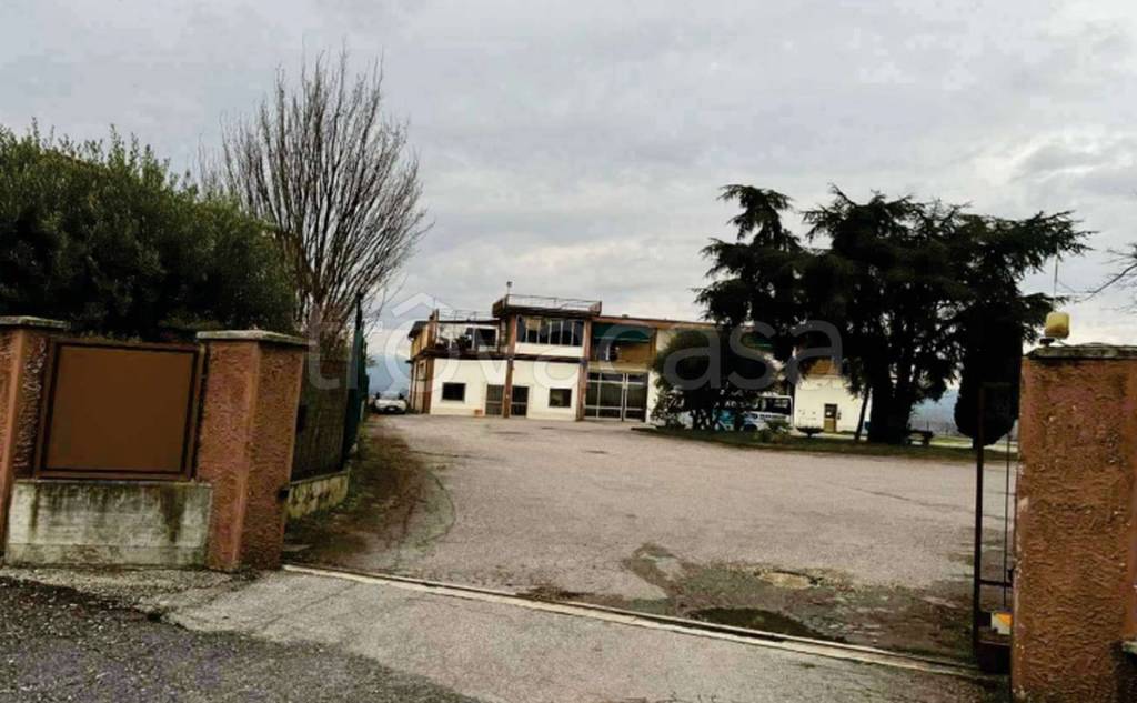 immagine annuncio 8 di 12