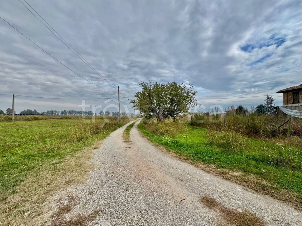 immagine annuncio 1 di 4