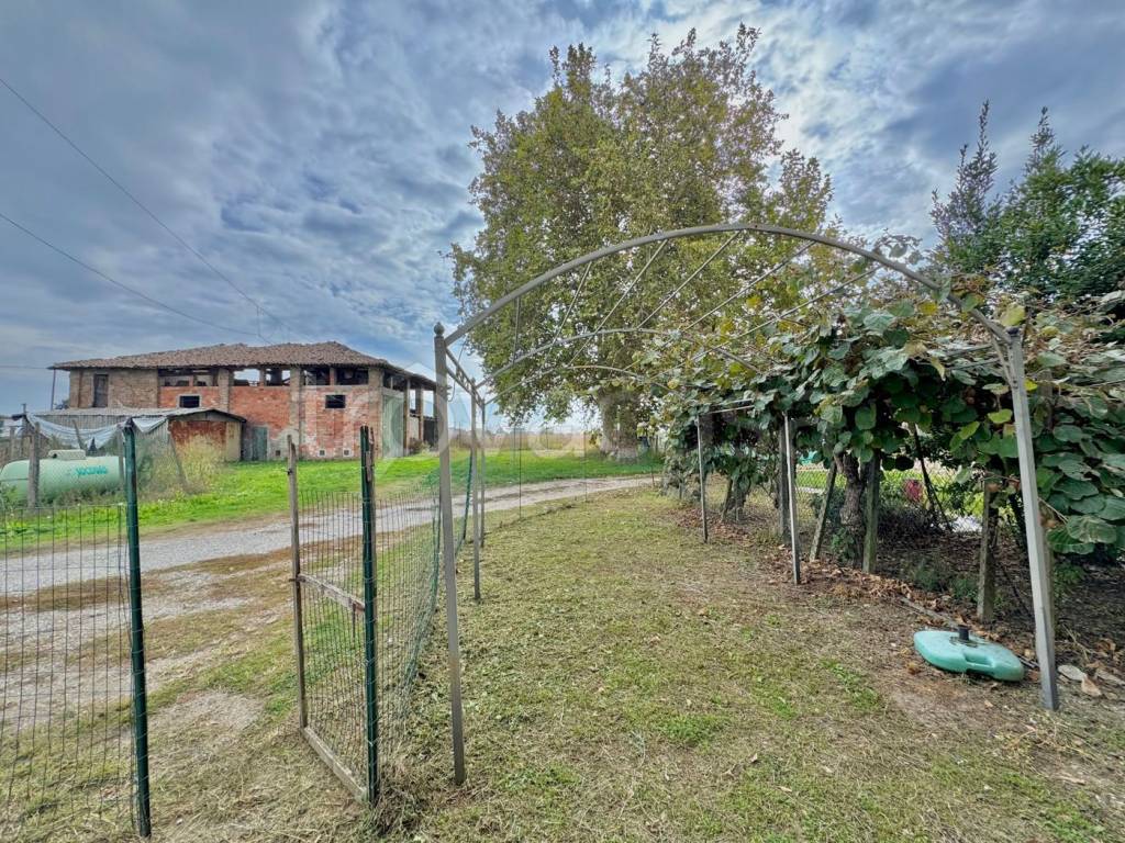 immagine annuncio 3 di 4